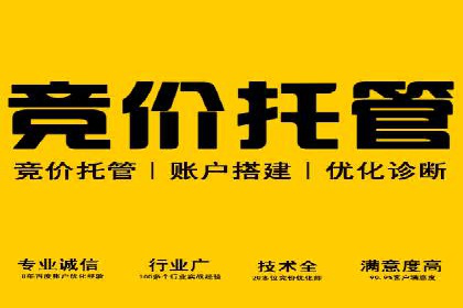 SEM推广实战：案例分析及策略调整